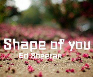 《Shape of you》