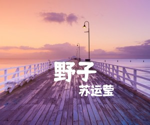 《野子吉他谱》_苏运莹__C调图片谱完整版_C调 图片谱2张