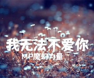 《我无法不爱你吉他谱》_MP魔幻力量_C调 图片谱1张