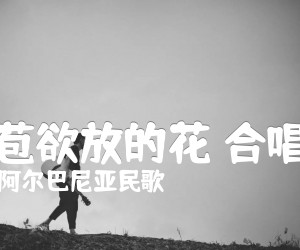 《含苞欲放的花 合唱谱吉他谱》_阿尔巴尼亚民歌_D调 图片谱1张