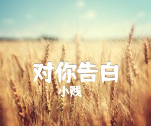 《对你告白吉他谱》_小贱_C调 图片谱1张