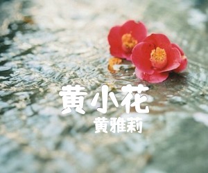 《黄小花吉他谱》_黄雅莉_吉他图片谱1张