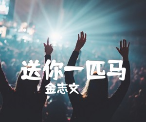 《送你一匹马吉他谱》_金志文_D调 图片谱2张