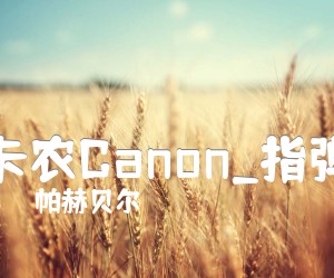 《卡农Canon吉他谱》_帕赫贝尔_指弹_D调 图片谱6张