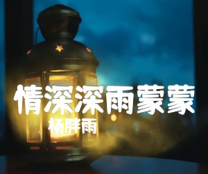 《情深深雨蒙蒙吉他谱》_杨胖雨 图片谱2张