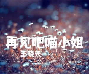 《再见吧喵小姐吉他谱》_王晓天_C调 图片谱2张