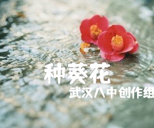 《种葵花吉他谱》_武汉八中创作组_E调 图片谱1张