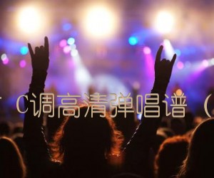 《清白之年 朴树 C调高清弹唱谱（音艺乐器编配）吉他谱》_群星_C调 图片谱1张