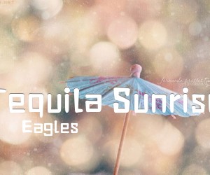 《Tequila Sunrise吉他谱》_Eagles_G调 图片谱4张