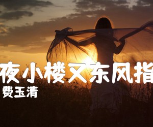 《昨夜小楼又东风指弹吉他谱》_费玉清_未知调 图片谱2张