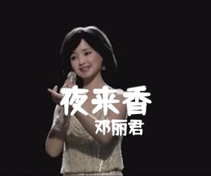 《夜来香吉他谱》_邓丽君_G调_吉他图片谱2张