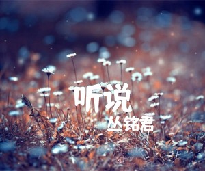 《听说吉他谱》_丛铭君_C调 图片谱2张