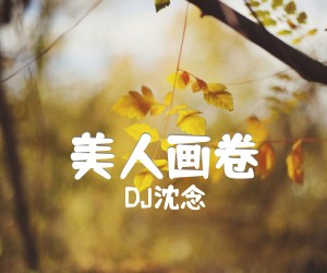 《美人画卷吉他谱》_DJ沈念_G调 图片谱3张