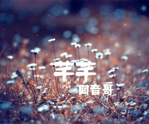 《芊芊吉他谱》_回音哥_C调 图片谱2张