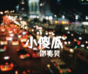 《小傻瓜》