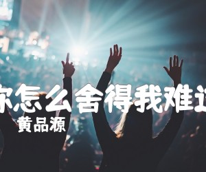 《你怎么舍得我难过吉他谱》_黄品源_文字谱