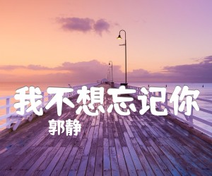 《我不想忘记你吉他谱》_郭静 文字谱