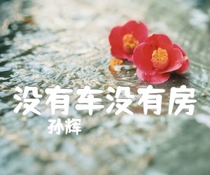 《没有车没有房吉他谱》_孙辉_D调_吉他图片谱2张