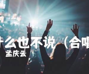 《什么也不说  (合唱)吉他谱》_孟庆云_G调_吉他图片谱1张