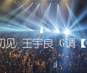 《闻窗一如初见 王宇良 G调【西二吉他】吉他谱》_群星_G调 图片谱1张