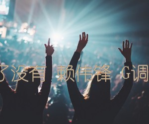 《闹够了没有 赖伟锋 G调转A调吉他谱》_群星_G调 图片谱1张