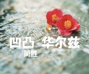 《凹凸（华尔兹）吉他谱》_简胜_C调 图片谱1张