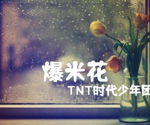 《爆米花吉他谱》_TNT时代少年团_未知调 图片谱2张