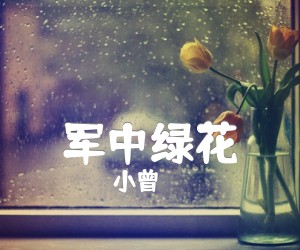 《军中绿花吉他谱》_小曾_G调 图片谱1张