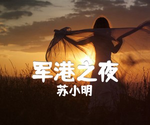 《军港之夜吉他谱》_苏小明_C调 图片谱1张