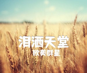 《泪洒天堂吉他谱》_欧美群星 图片谱3张