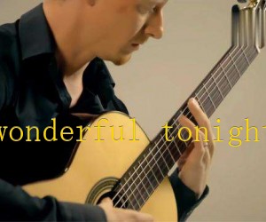 《wonderful tonight吉他谱》_吉他弹唱教学 文字谱