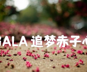 《GALA 追梦赤子心吉他谱》_GALA 图片谱2张