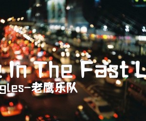 《Life In The Fast Lane吉他谱》_Eagles-老鹰乐队 图片谱20张