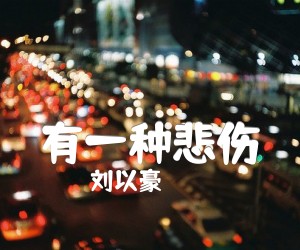 《有一种悲伤吉他谱》_刘以豪 图片谱2张