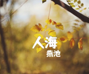 《人海吉他谱》_燕池_未知调 图片谱2张