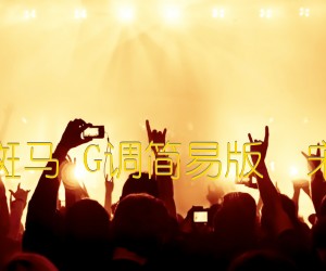 《斑马斑马 G调简易版  宋冬野吉他谱》_群星_G调 图片谱1张