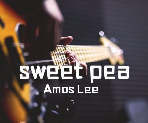 《sweet pea吉他谱》_Amos Lee_C调 图片谱1张