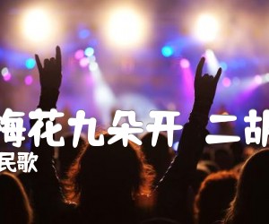 《十朵梅花九朵开  二胡曲谱吉他谱》_四川民歌_F调 图片谱1张