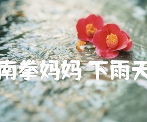 《南拳妈妈 下雨天吉他谱》_南拳妈妈 图片谱2张