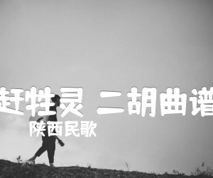 《赶牲灵 二胡曲谱吉他谱》_陕西民歌_D调_吉他图片谱1张