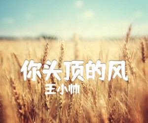 《你头顶的风吉他谱》_王小帅 图片谱2张