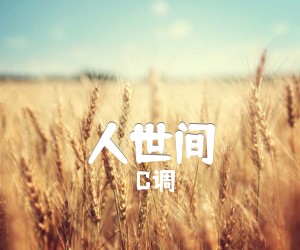 《人世间吉他谱》_C调_C调 图片谱3张