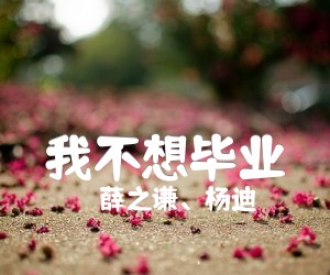 《我不想毕业吉他谱》_薛之谦、杨迪_薛之谦/杨迪_G调指法六线谱标准版_G调 图片谱2张