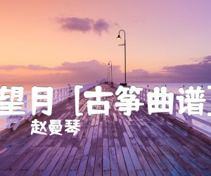 《望月  [古筝曲谱]吉他谱》_赵曼琴 图片谱1张