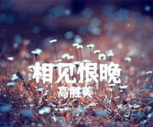 《相见恨晚吉他谱》_高胜美_E调 图片谱2张