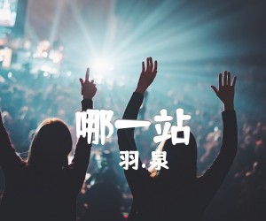 《哪一站吉他谱》_羽.泉_D调 图片谱1张