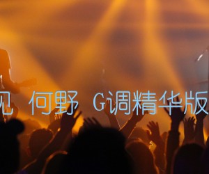 《天亮以前说再见 何野 G调精华版 抖音热门歌曲吉他谱》_群星_G调 图片谱2张