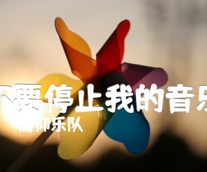 《不要停止我的音乐吉他谱》_痛仰乐队_C调 图片谱3张