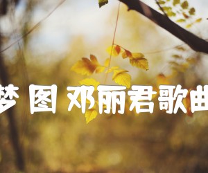 《一帘幽梦吉他谱》_许茹芸_G调 图片谱1张