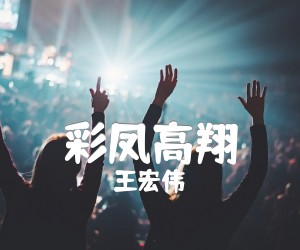 《彩凤高翔吉他谱》_王宏伟_G调 图片谱1张